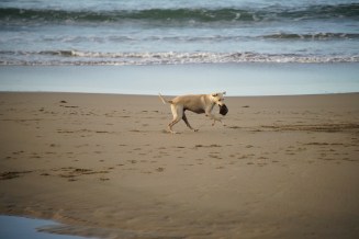 ViewsMartinSanDiego25