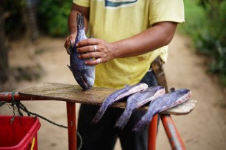 ViewsMartinSanDiego620