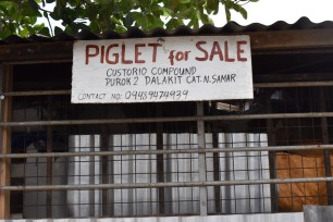 RuralPhilippines2019-c511